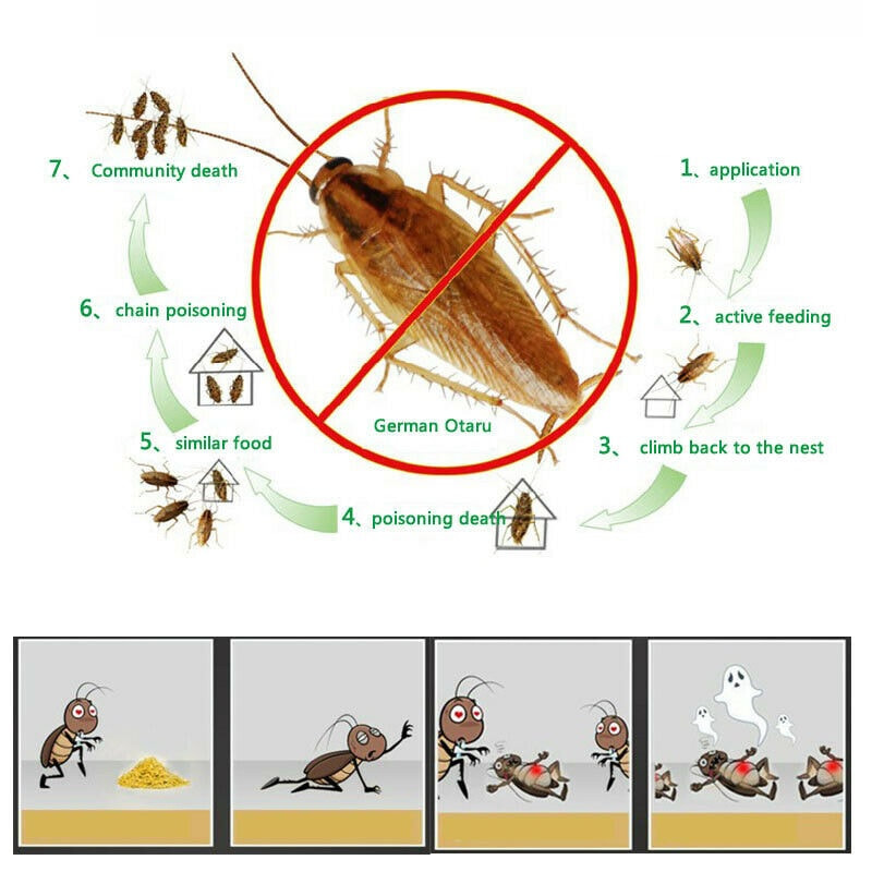 Insecticide Cockroach Powder Killing Bait Effective Pest Roach Control ...
